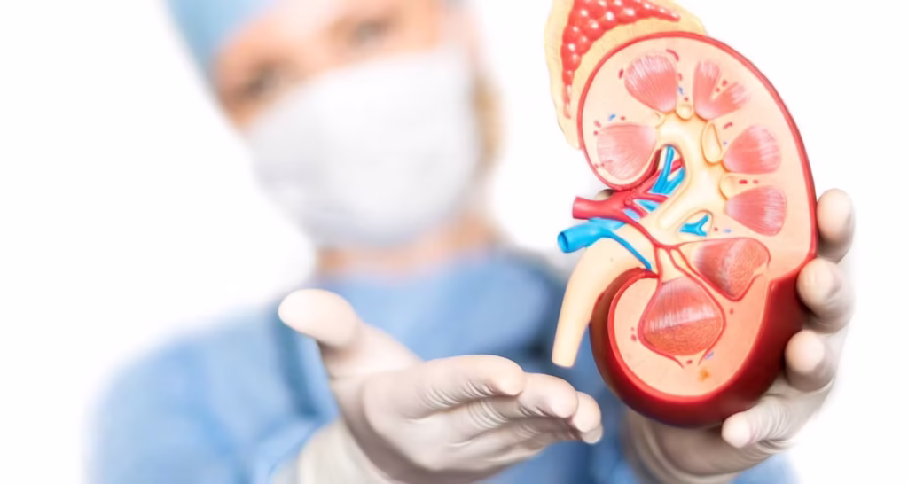 IVF in Turkey positive outcome for couple treated at the best IVF clinic Turkey with strong IVF success rate Turkey