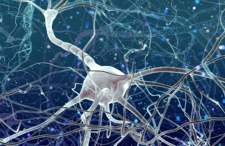 Best hospital for epilepsy Turkey – epilepsy treatment Turkey – neurology specialist Turkey – affordable epilepsy treatment – medical tourism epilepsy Turkey