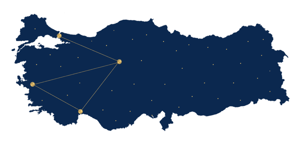 Carte stylisée de la Turquie avec quatre villes mises en évidence : tourisme médical en Turquie